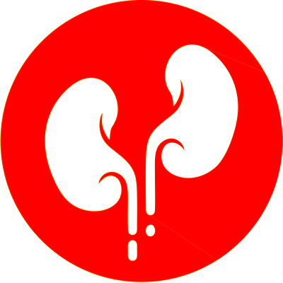 Urology